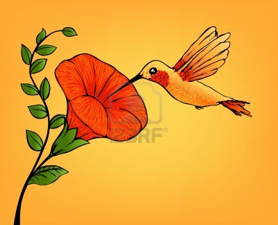 9591451-hummingbird-and-flower