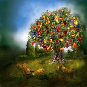 tree-of-abundance