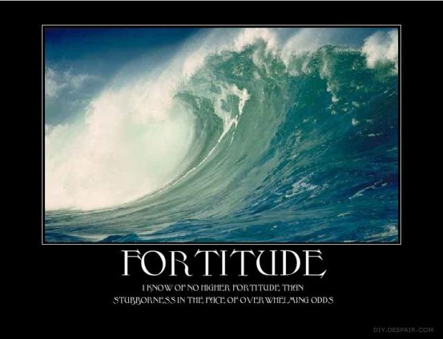 Fortitude 1