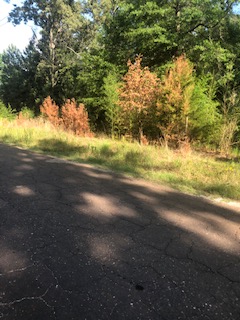 Destruction believed to be from fracking contamination in our neighborhood